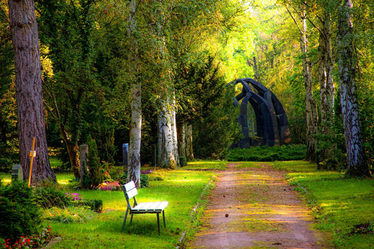 Mother Nature's Healing: The Science Behind Time Outdoors
