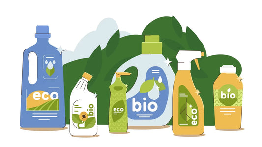 Wellness at Home: The Benefits of Healthy, Sustainable Products